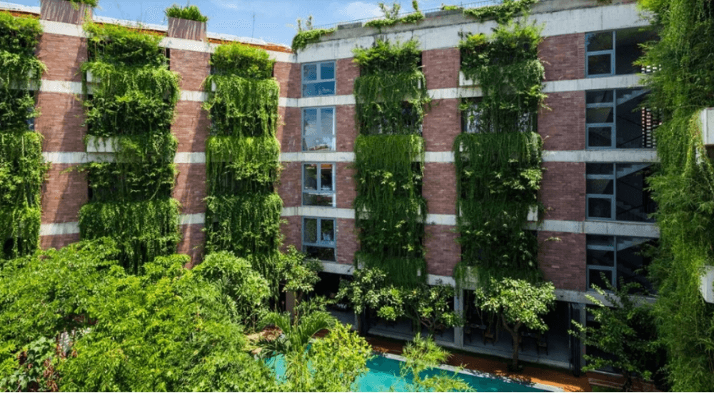 50+ mẫu thiết kế khách sạn mini kiến trúc độc đáo, tiêu chuẩn quốc tế 36 xu hướng thiết kế xanh và bền vững