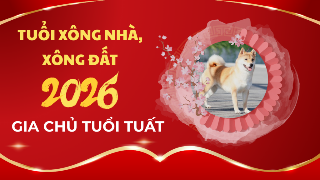 Tuổi xông nhà năm 2026 cho gia chủ tuổi Tuất 3 Tuổi xông nhà xông đất năm 2026 may mắn nhất cho gia chủ tuổi Tuất