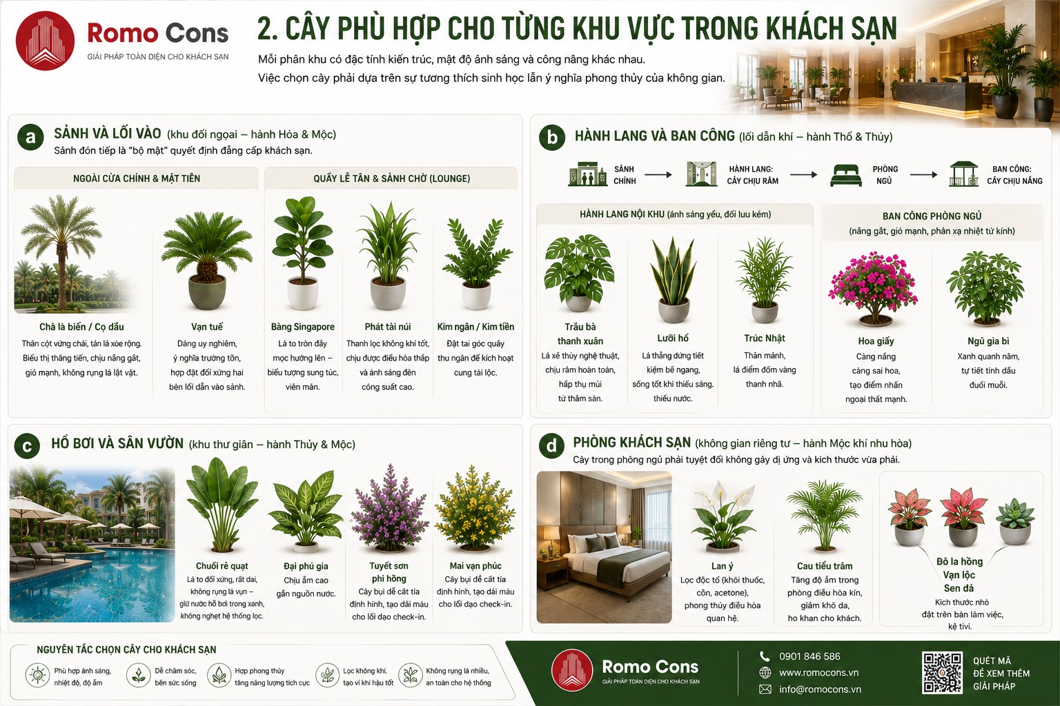 Cây phù hợp cho từng khu vực trong khách sạn